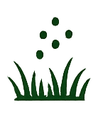 Aeration