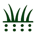 Lawn Seeding