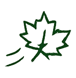 Leaf Removal